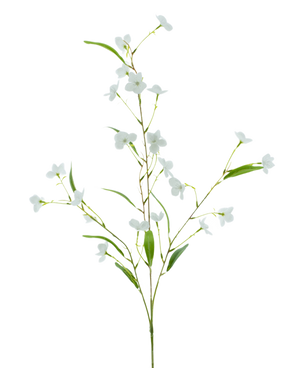 De Kunstbloem Alstroemeria Real Touch Wit 100 cm heeft een delicate groene steel met slanke bladeren en trosjes kleine witte bloemen, prachtig tegen een effen witte achtergrond.