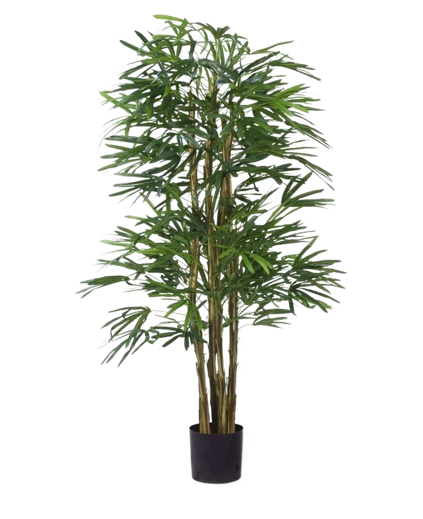 La plante artificielle ignifuge Lady Palm de 150 cm a de fines feuilles vertes et plusieurs fines tiges brunes dans un petit pot noir, sur un fond blanc uni.