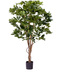 Plante artificielle Schefflera 120 cm.