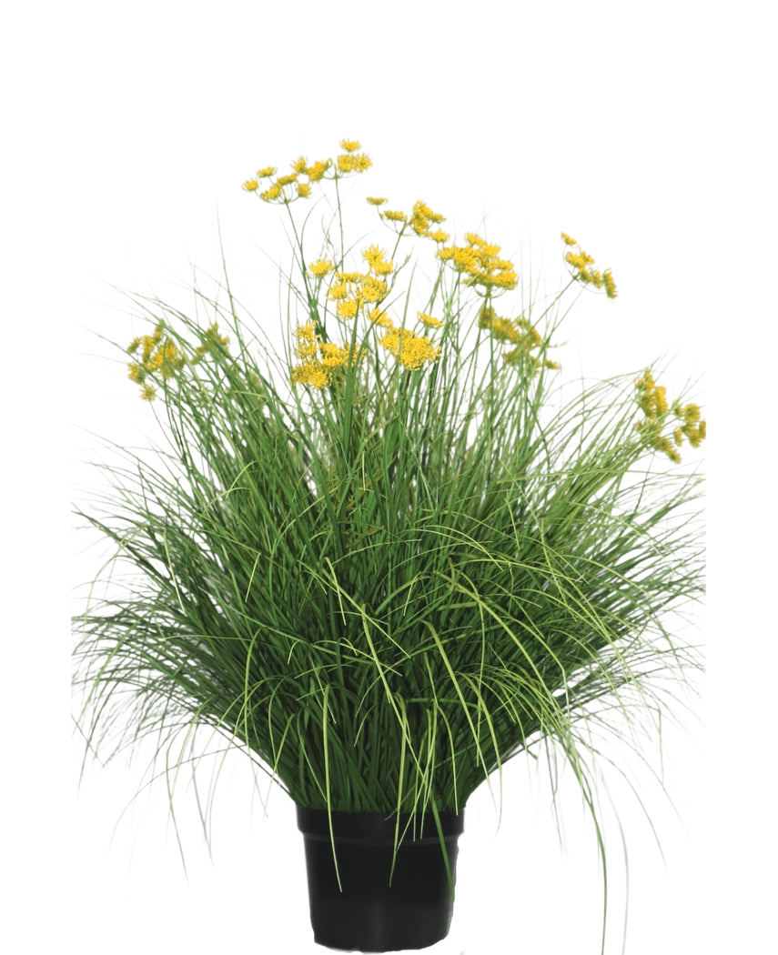 Le gazon artificiel Asteraceae 100 cm ignifuge possède des feuilles longues et étroites et des bouquets de fleurs jaune vif sur de hautes tiges. Cette plante sans entretien est magnifique dans n’importe quel intérieur sur un fond blanc.