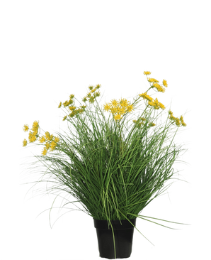 Le gazon artificiel Asteraceae 70 cm ignifuge a de longues et fines feuilles vertes et des bouquets de petites fleurs jaunes dans un pot noir, ce qui en fait un gazon artificiel facile d'entretien sur un fond blanc uni.