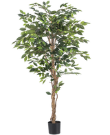 La plante artificielle Ficus 180 cm ignifuge a des troncs bruns torsadés et des feuilles vertes luxuriantes, dans un petit pot noir sur fond blanc - une plante élégante et sans entretien pour tout intérieur.