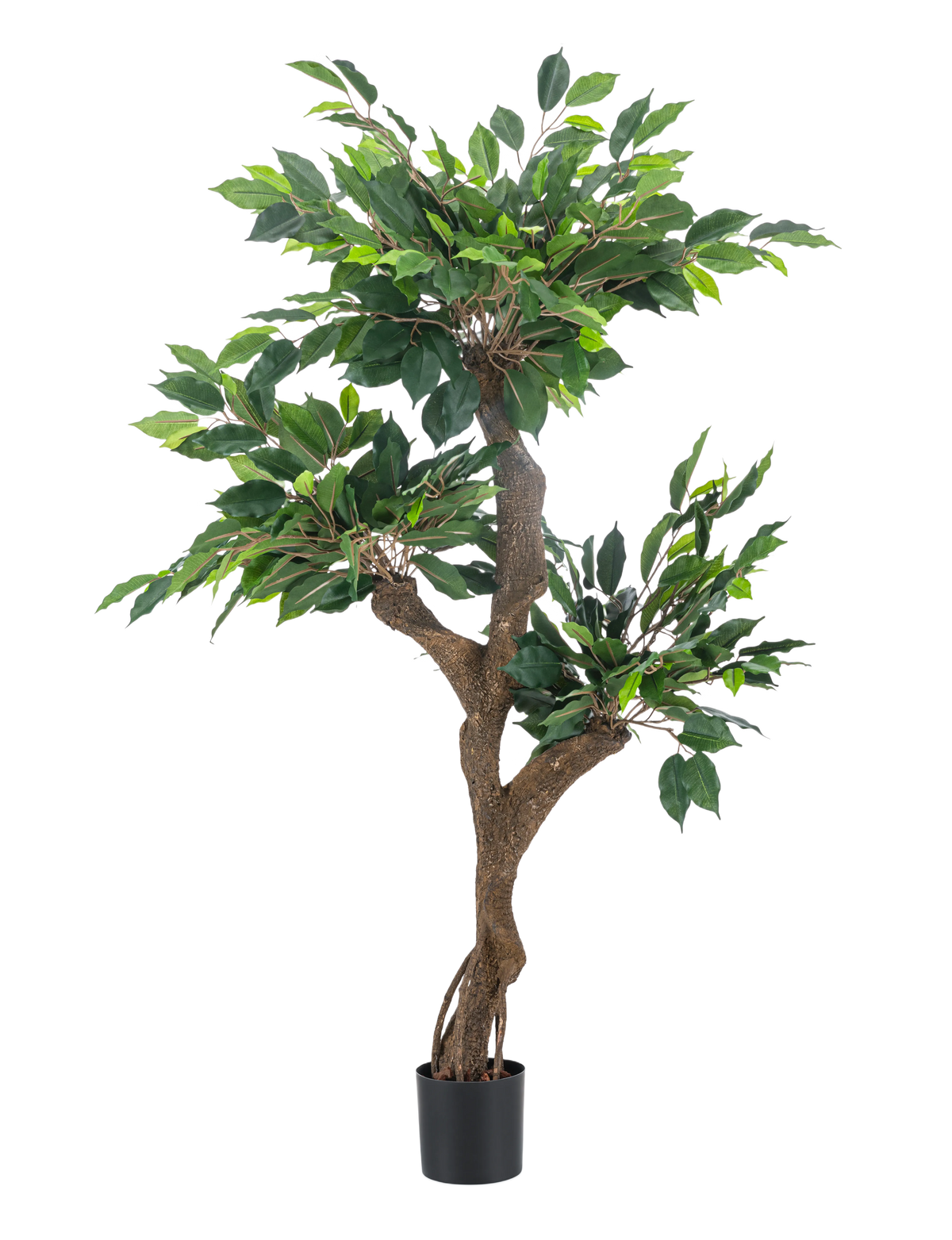 La Plante Artificielle Ficus Crazy 120 cm est un grand arbre artificiel en pot avec de multiples troncs bruns et des feuilles vertes denses, représenté sur un fond blanc uni.