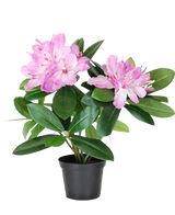 De Kunstplant Rhododendron 34 cm heeft levendige groene bladeren en trossen lichtroze bloemen in een kleine zwarte pot, tegen een effen witte achtergrond.