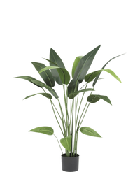 Plante artificielle Heliconia 110 cm