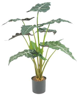 La plante artificielle Alocasia UV 67 cm est une plante artificielle en pot avec de grandes feuilles vert foncé en forme de flèche et des veines blanches frappantes, représentées sur un fond blanc uni.