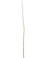 De Kunstbloem Salix wilg 150 cm is een slanke bruine kunsttak met kleine knoppen over de lengte, tegen een effen witte achtergrond.