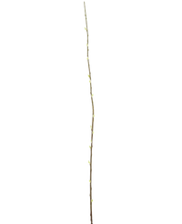 Fleur artificielle Salix willow 150 cm