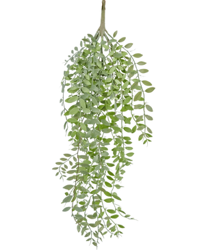 De Kunst hangplant Pumila/Eucalyptus 76 cm heeft een lange groene tak met meerdere kleinere stengels en ovaalvormige bladeren, die allemaal naar beneden hangen tegen een witte achtergrond.