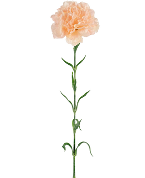 Kunstbloem Anjer 69 cm perzik