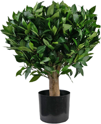Plante artificielle Laurier d65 cm UV