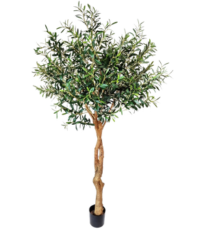 De Kunst Olijfboom 190 cm, met een gedraaide stam en dichte groene bladeren in een elegante sierpot, staat rechtop tegen een effen witte achtergrond.