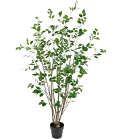De Kunstplant Ficus 180 cm is een hoge kunstplant met meerdere slanke bruine stengels en weelderige groene bladeren tegen een witte achtergrond.