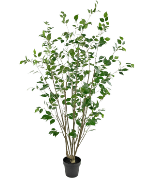 De Kunstplant Ficus 180 cm is een hoge kunstplant met meerdere slanke bruine stengels en weelderige groene bladeren tegen een witte achtergrond.
