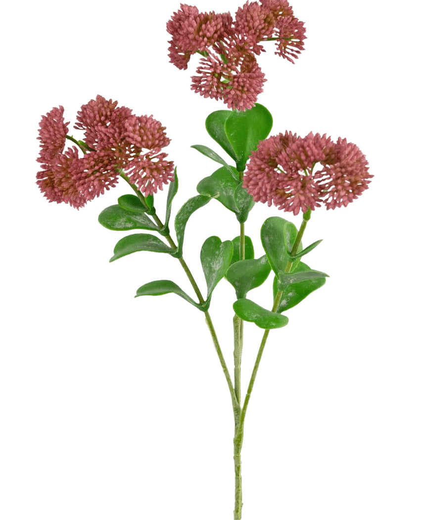 Une branche artificielle Sedum de 56 cm rose avec des feuilles vertes et des bouquets de petites fleurs rondes et vaporeuses rose-rouge sur fond blanc.