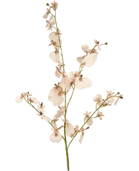 Branche artificielle Orchidée rose 80 cm