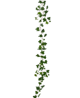 De Kunst hangplant Klimop slinger deluxe 180 cm groen is een enkele, lange kunstliaan met groene, meerlobbige bladeren verspreid over de lengte, die verticaal uitsteekt tegen een witte achtergrond.