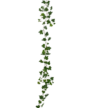 De Kunst hangplant Klimop slinger deluxe 180 cm groen is een enkele, lange kunstliaan met groene, meerlobbige bladeren verspreid over de lengte, die verticaal uitsteekt tegen een witte achtergrond.