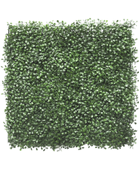 Mur végétal artificiel Buis 50x50 cm UV