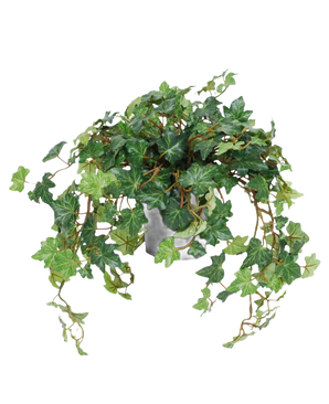 Le Lierre Artificiel Deluxe vert en pot 40 cm UV a des feuilles vertes luxuriantes en forme de cœur et de longues vrilles sinueuses qui poussent sur les côtés du pot. Sur la photo sur un fond blanc uni.