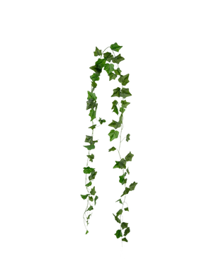 De Kunst Klimop Slinger 180 cm groen heeft een enkele groene klimoprank met meerdere bladeren die sierlijk in een boogvorm tegen een effen witte achtergrond hangt.