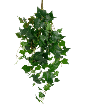 De Kunst klimop reuzenbladeren 100cm heeft een cascade van glanzende, puntige groene klimopbladeren en ranken in verschillende tinten, die naar beneden hangen voor een realistische look.
