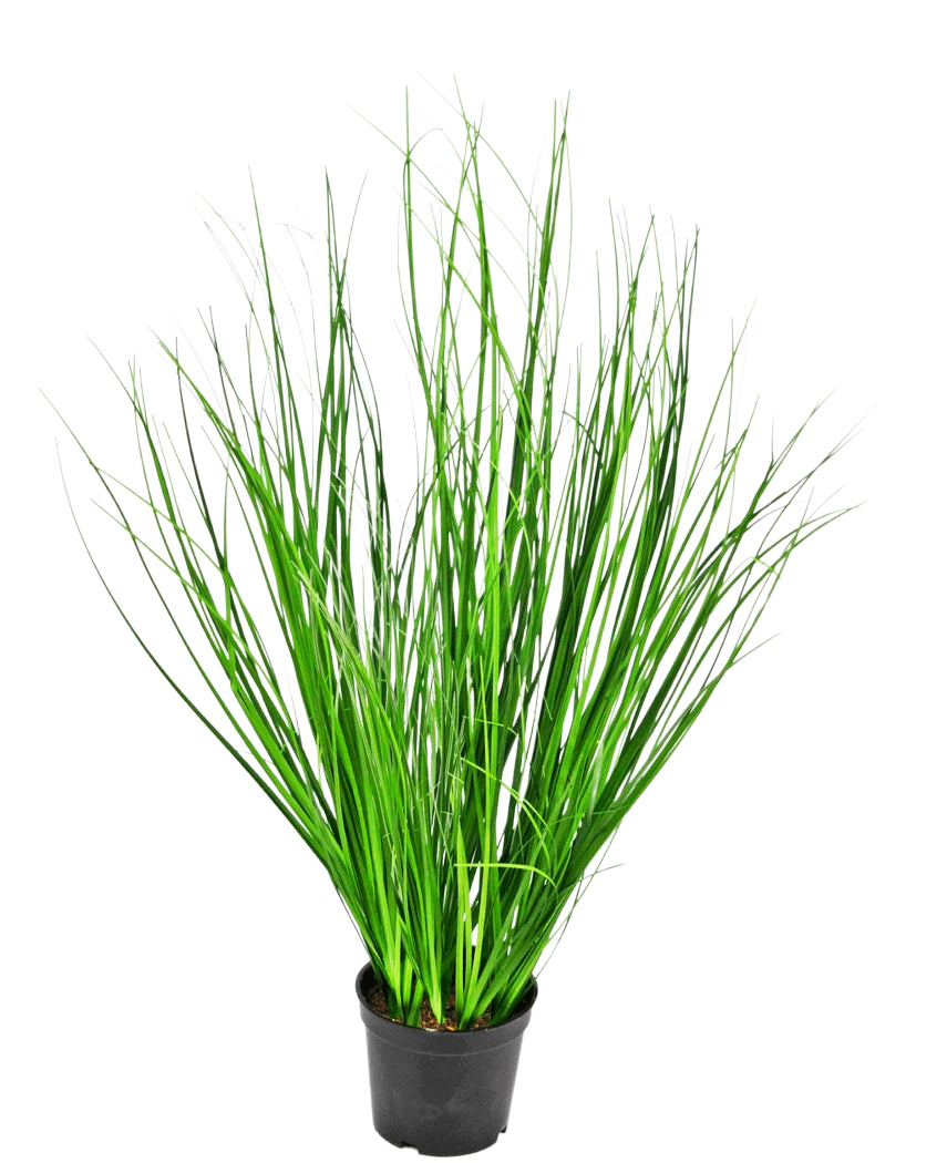 Le gazon artificiel oignon 58 cm ignifuge est une haute herbe décorative avec de fines lames vertes dans un pot en plastique noir, représentée sur un fond blanc uni.