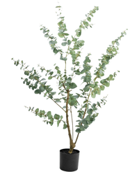 Plante artificielle Eucalyptus 150 cm