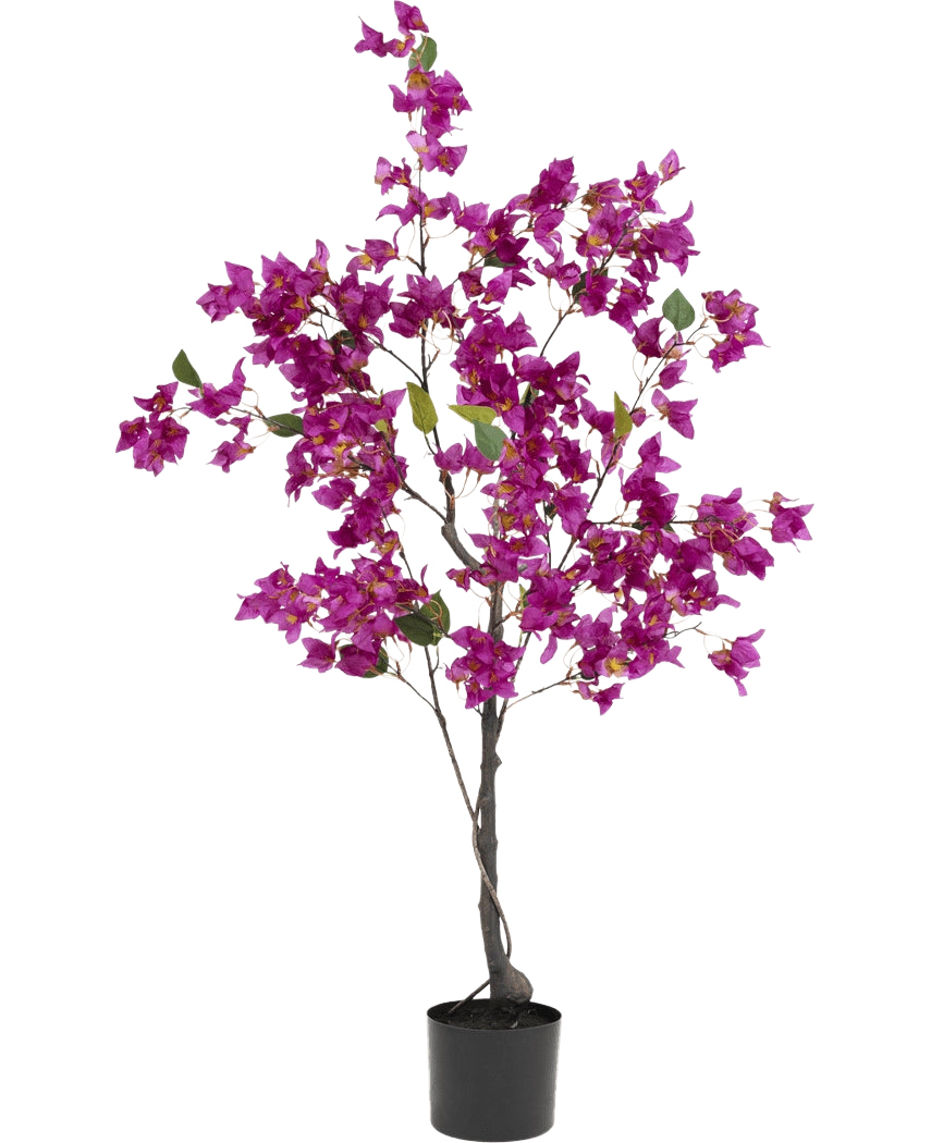 Le bougainvillier artificiel 125 cm violet a des fleurs violettes vibrantes et des feuilles vertes luxuriantes sur plusieurs branches, ce qui en fait une plante artificielle colorée idéale pour égayer n'importe quel espace intérieur.