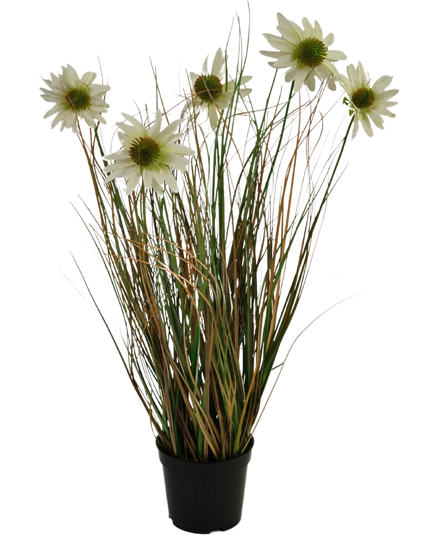 Le gazon artificiel chrysanthème oignon pot 60 cm ignifuge possède de longues et fines feuilles vertes et brunes avec plusieurs tiges hautes surmontées de fleurs blanches ressemblant à des marguerites au cœur jaune.