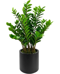 Plante artificielle Zamioculcas 120 cm prête à l'emploi dans pot beige