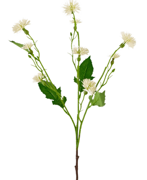 De Kunstbloem Daisy Spray 54 cm witstraal heeft een enkele groene steel met vertakte trossen kleine, witte margrietachtige bloemen en grillige groene bladeren, tegen een effen witte achtergrond.