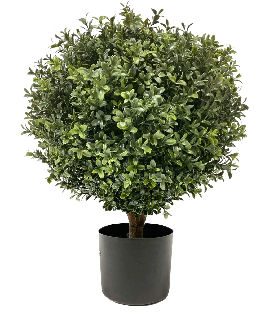 Le Buis artificiel sur tige UV 40 cm est un buisson de forme ronde et verte, aux feuilles denses dans un pot simple noir, sur un fond uni blanc.