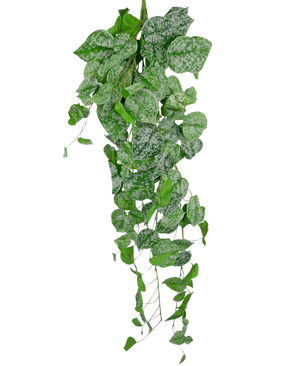 Kunst hangplant Scindapsus 90 cm