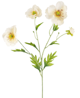 Une illustration botanique de l'Art Poppy Real Touch Crème/Jaune 65 cm montre une tige verte avec de délicates fleurs de pavot crème et jaune et des feuilles vertes luxuriantes sur un fond clair uni.
