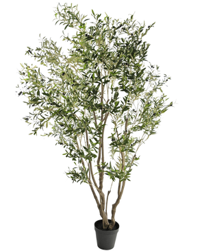 De Kunstplant Olijfboom 260 cm is een hoge kunstolijfboom met slanke takken en groene bladeren in een zwarte plantenbak, tegen een witte achtergrond.