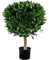 De Kunstplant Laurier UV d55 cm heeft een rechte stam en een dichte, ronde tros glanzend groene bladeren, gepresenteerd in een zwarte bak tegen een witte achtergrond.