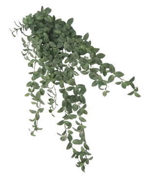 De Kunst Fittonia Groen-wit 90cm is een trapsgewijze kunstplant met kleine groene blaadjes en lichtgekleurde nerven op meerdere slepende stengels, afgebeeld tegen een witte achtergrond.