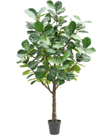 L'arbre à tabac artificiel 270 cm est un grand arbre artificiel avec de grandes feuilles vertes luxuriantes et un tronc marron robuste, dans un petit pot noir sur un fond blanc uni.