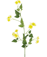 La Fleur Artificielle Renoncule 77 cm est une simple tige verte avec de multiples branches, de petites fleurs jaunes et des feuilles vertes - idéales pour composer votre bouquet - présentées sur un fond blanc uni.