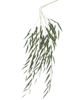 Le saule pleureur artificiel 134 cm ignifuge a de longues feuilles vertes fines qui pendent sur un fond blanc uni et est traité avec un revêtement ignifuge pour plus de sécurité.