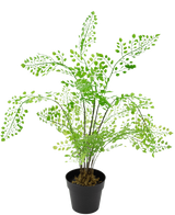 De Kunstplant Varen 35 cm is een kunstvaren in pot met delicate, lichtgroene, waaiervormige bladeren op slanke zwarte stelen, tegen een witte achtergrond.