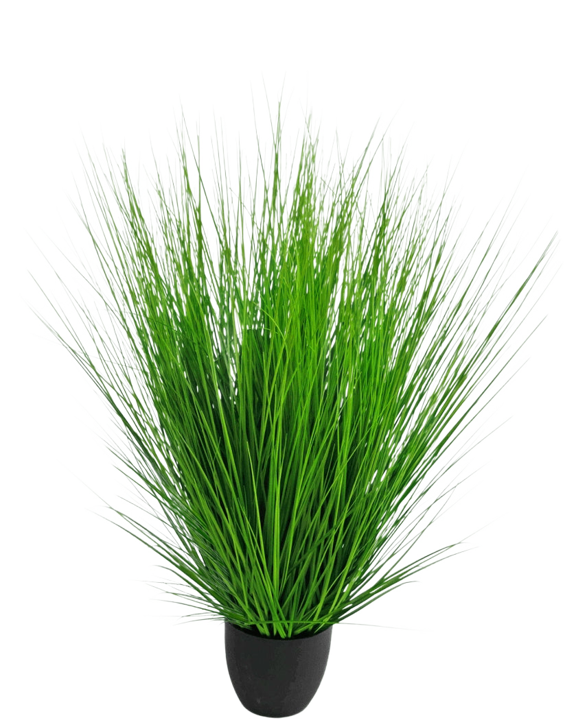 Le Gazon Artificiel Oignon 110 cm ignifuge possède de longues lames fines et vertes vibrantes qui sont rapprochées les unes des autres dans un petit pot noir, sur un fond blanc uni.