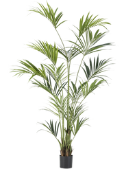 Palmier artificiel Kentia 220 cm