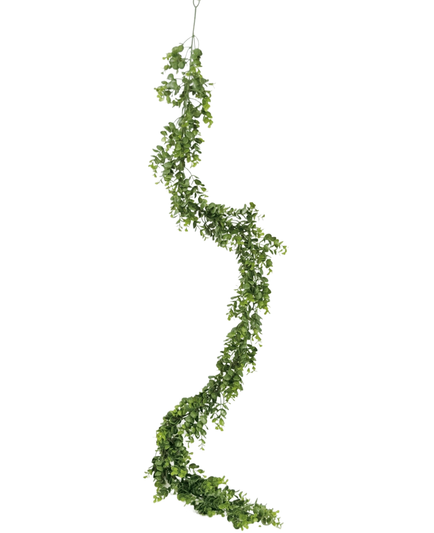 La plante grimpante artificielle Pumila 182 cm possède une longue vigne verte sinueuse avec de petites feuilles, qui pend verticalement sur un fond blanc uni.