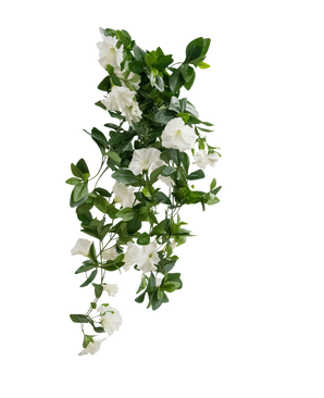 La plante artificielle suspendue Pétunia 70 cm blanc a des feuilles vertes et des fleurs blanches en forme de trompette dans un motif en cascade semblable à une vigne, sur un fond blanc uni.