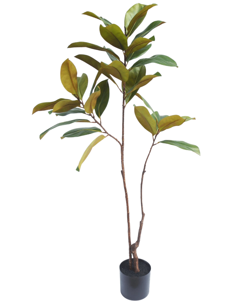 L'arbre Yulania artificiel de 120 cm a de fines tiges brunes et de larges feuilles vert-jaune, qui semblent réalistes et mettent en valeur n'importe quelle pièce sur un fond blanc uni.