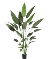 Plante artificielle Heliconia 210 cm