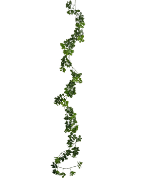De Kunst slingerplant Gardenia 157 cm is een lange, kronkelende groene liaan met kleine blaadjes, verticaal hangend tegen een effen witte achtergrond.