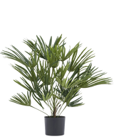 La plante artificielle Baby Palm Fan en pot UV 50 cm a de longues feuilles vertes fines dans un pot élégant - idéal pour ajouter une touche élégante à votre intérieur ou pour combiner avec des pots décoratifs pour plus de style.